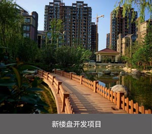 兩層簡易式機械式91夜色在线观看网站設備新樓盤開發項目