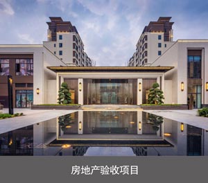 兩層簡易式機械式91夜色在线观看网站設備房地產驗收項目